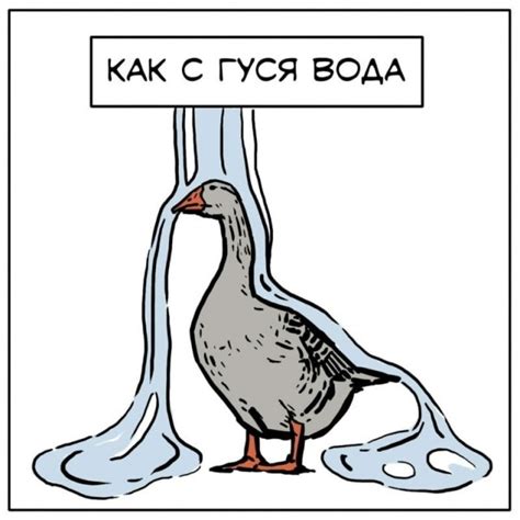 Что значит фразеологизм "как с гуся вода"?