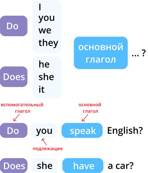 Что значит do и does?