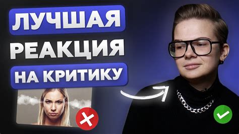 Что критикуют критики: на что указывает Швабрин?