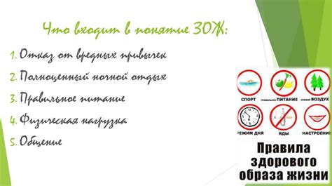 Что не входит в понятие "здоровый образ жизни"? Узнайте пройдя тест!