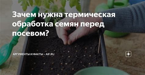 Что нужно знать о подготовке семян перед посевом?