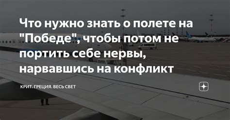 Что нужно знать о полете с собакой: