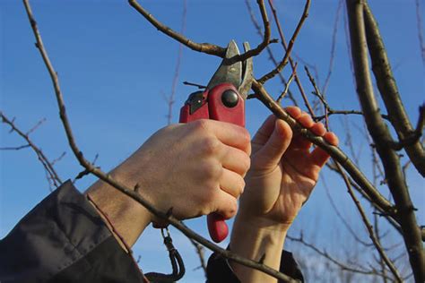 Что нужно учитывать при выборе времени для обрезки