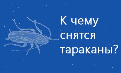 Что означает видеть таранку во сне