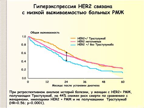 Что означает негативный статус опухоли Her2 0?