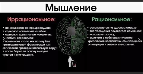 Что определяет ход событий: рациональное мышление или эмоции? Примеры из истории и их анализ