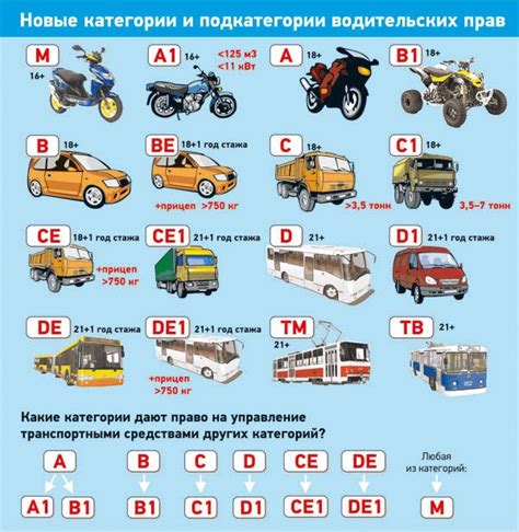 Что позволяет делать категория В1?