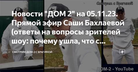 Что привлекает внимание зрителей: почему ролик с двумя драчливыми кошками становится популярным?