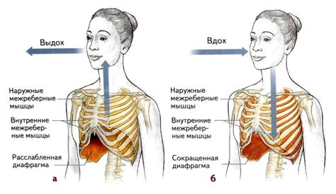 Что происходит при подавлении дыхания во время еды