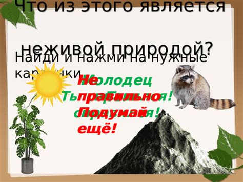 Что считается неживой природой? Тест