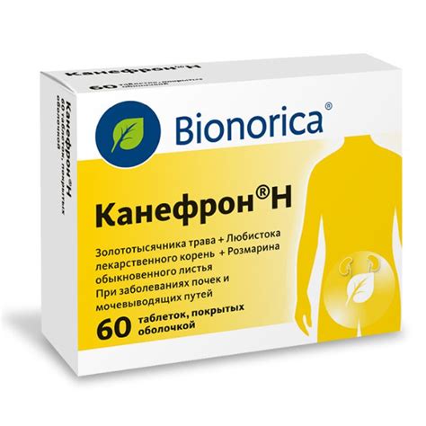 Что такое Канефрон Н?