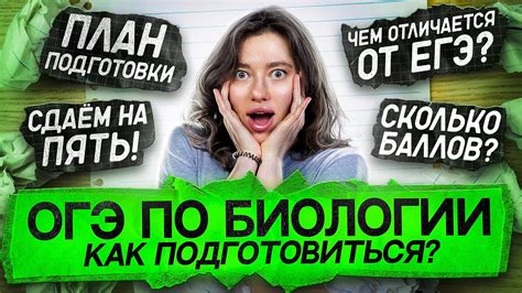 Что такое ОГЭ?