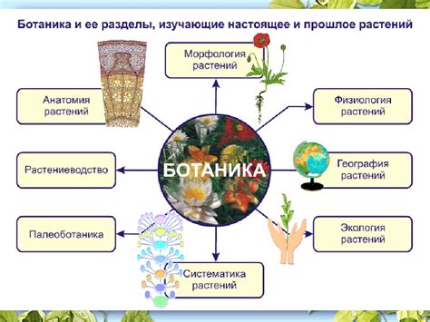 Что такое биология и как она развивается в 5 классе?