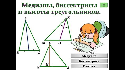 Что такое биссектрисы треугольника и для чего они нужны?