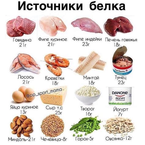 Что такое жиры в продуктах питания