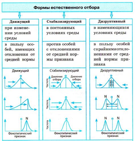 Что такое искусственный отбор?