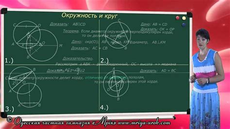 Что такое круг: основные характеристики