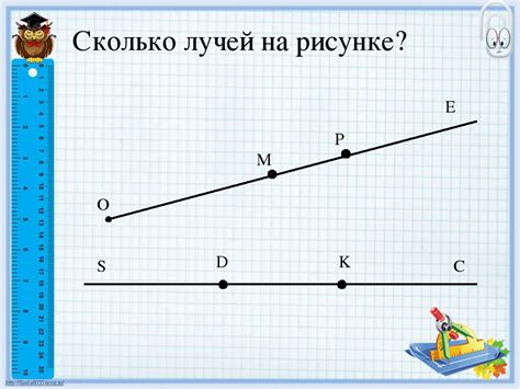 Что такое отрезок и его основные характеристики