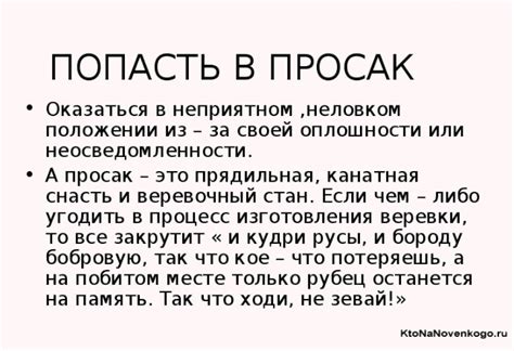 Что такое просак Михалков?