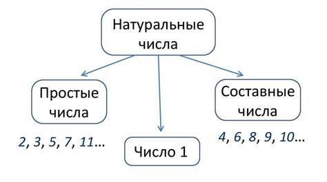 Что такое составные числа в математике?