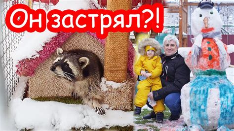 Что теперь делать?