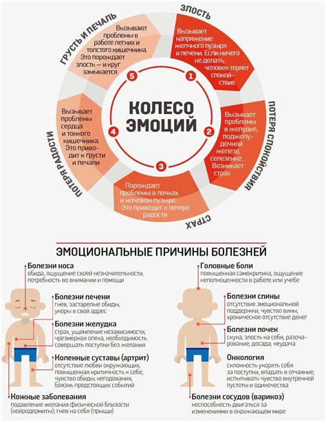 Чувства и эмоции, которые вызывает этот сон