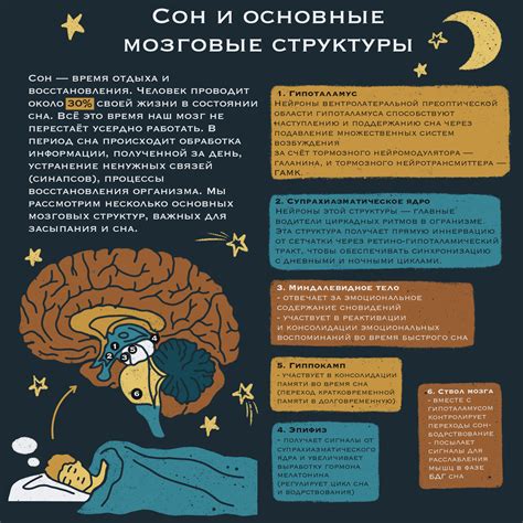 Чувства и эмоции во сне: что они могут сказать о нашей психологической составляющей?