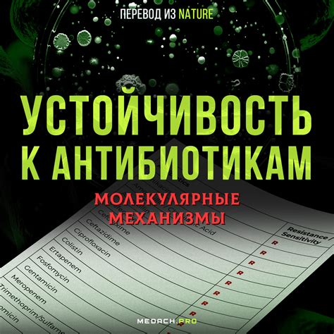 Чувствительность к антибиотикам: основные принципы и механизмы