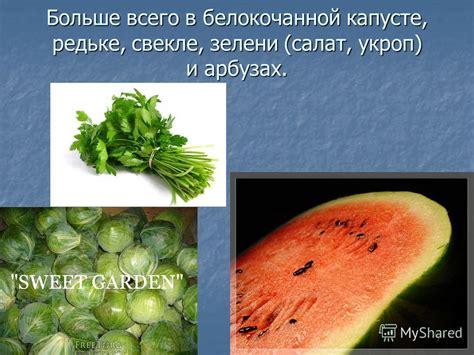 Шредерство бодрой белокочанной зелени в видении: символ внутреннего преобразования и роста