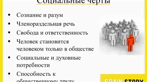 Щенок как социальное существо