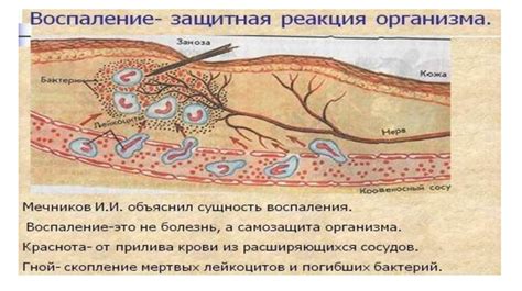 Эволюционная защитная реакция организма