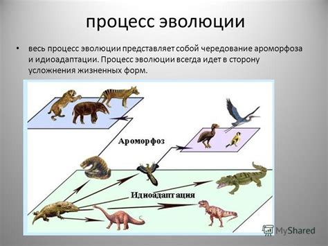 Эволюция организмов