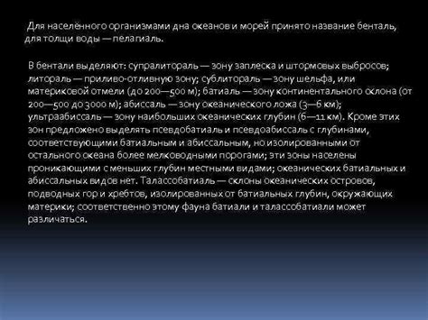 Экологическая роль обитателей дна и толщи океана