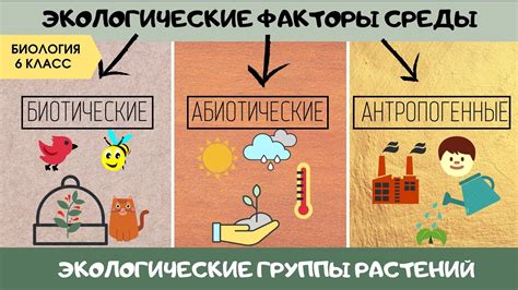 Экологические факторы внешней среды