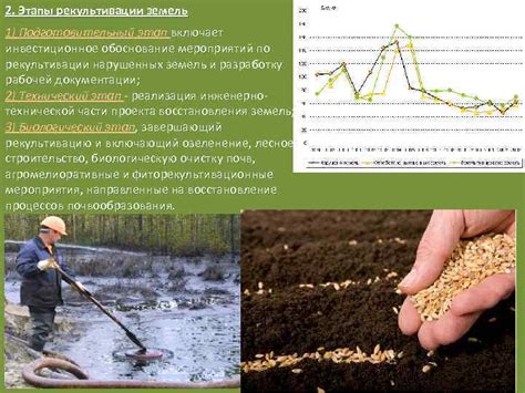 Экологическое значение рекультивации земель