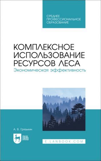 Экономическая эффективность и оптимальное использование ресурсов