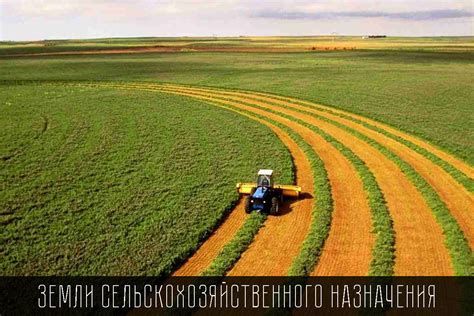 Экономические аспекты сельскохозяйственного использования земли