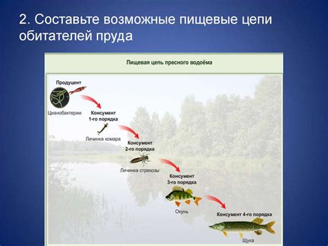 Экономические последствия нарушения связей в экосистеме