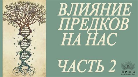 Эмоциональное наследие: влияние видений предков на душу внука