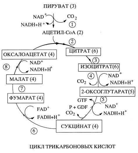 Энергетические процессы