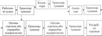 Этапы логистической цепи