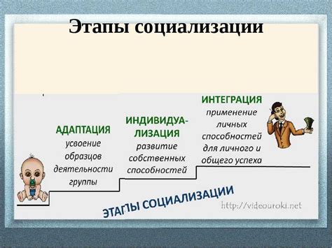 Этапы социализации и их значение