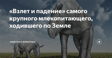 Этические вопросы охоты на крупного вида млекопитающего: сфера споров и противоречий