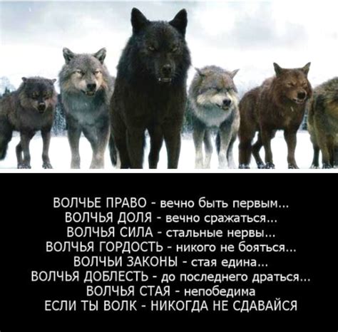  Ассоциации с подругой в сновидениях: дружба, верность и поддержка 