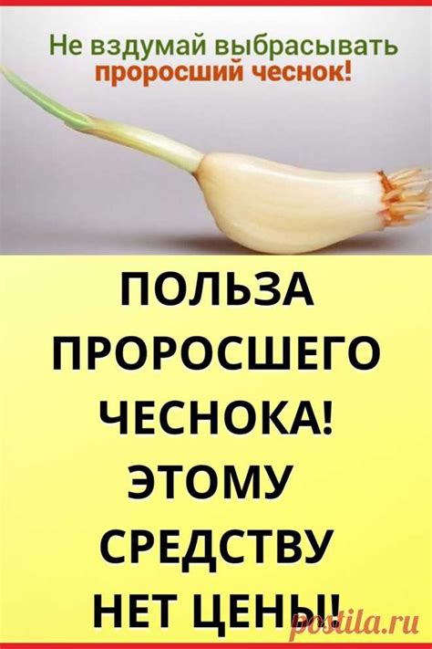  Важность количества проросшего чеснока в сновидениях: как оно влияет на значения и предсказания 