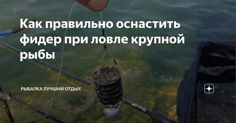  Заголовок 1: Почему сны о ловле крупной рыбы привлекают особое внимание?
