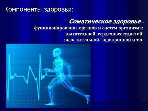  Здоровье и функционирование организма: трактовка сновидений о нежареном мясе без крови с медицинской точки зрения 