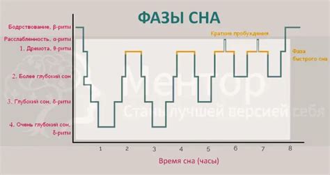  Значение сна о спуске по вертикальному участку