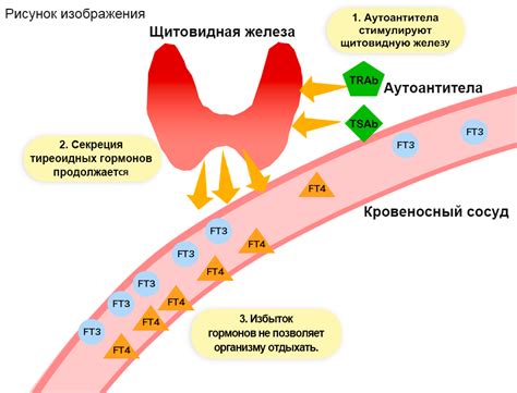  Какие симптомы могут возникнуть при повышенном уровне ДЭА SO4?