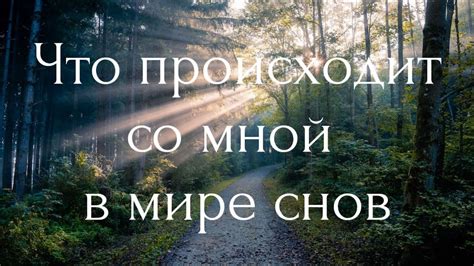  Крылов в мире снов: значение зверей, которых он придумал 